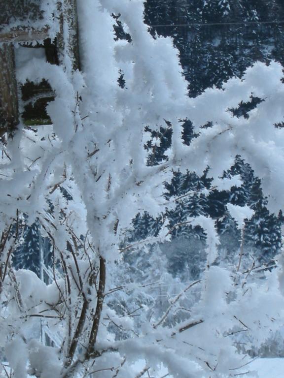 ホテルBerghaus Drei Tannen オエッツ エクステリア 写真